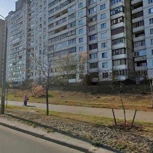 Киев, Улица Оноре де Бальзака, 77: фото