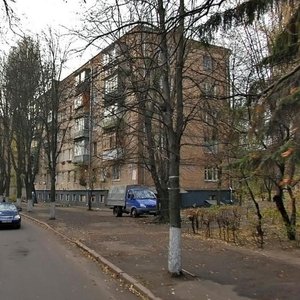 Yerevanska Street, 11, Kyiv: photo