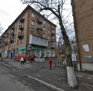 Zoolohichna Street, 8, Kyiv: photo