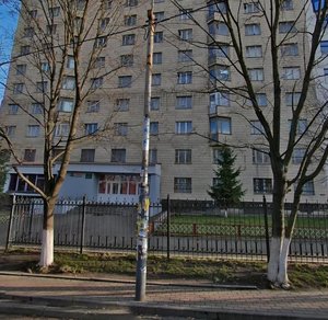 Polovetska Street, 29, Kyiv: photo