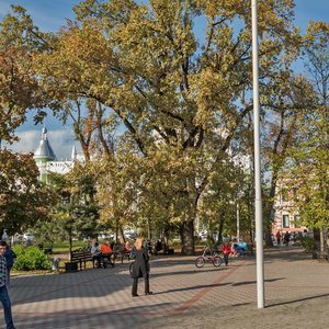 Gymnasium Street, 65, Krasnodar: photo