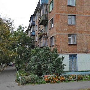 Polkova Street, 57Б, Kyiv: photo