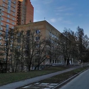Litnia Street, 25 ، كييف: صورة