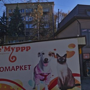 Кисловодск, Красивая улица, 3: фото