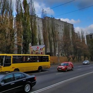 Oleny Telihy Street, 53, Kyiv: photo