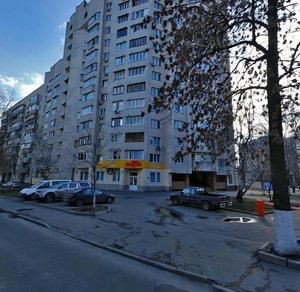 Bahhovutivska Street, 8/10, Kyiv: photo