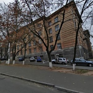 Akademika Yanhelia Street, 9, Kyiv: photo