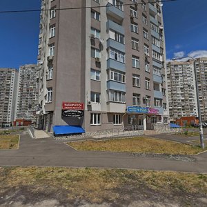 Mykoly Lavrukhina Street, 12, Kyiv: photo