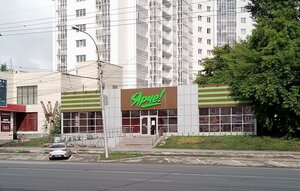 Новосибирск, Улица Бориса Богаткова, 203/1: фото