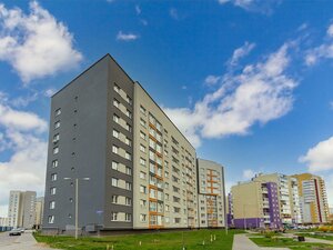 Yelizavetinskaya Street, 5 ، : صورة