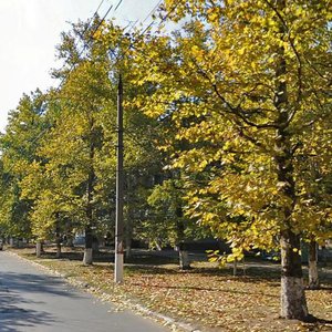 Vulytsia Illiushi Kulyka, No:143, Herson: Fotoğraflar