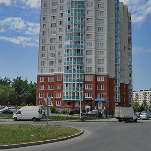 Санкт‑Петербург, Улица Карпинского, 33к1: фото