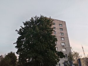 Lenina Street, 65 ، : صورة