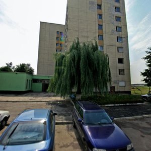 Vulica Bratow Liziukovyh, 7, Gomel: photo
