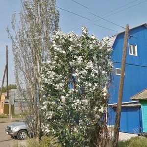 17-ya Severnaya ulitsa, 100, : foto