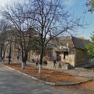 Troitska vulytsia, 31/1, Zaporizhia: photo