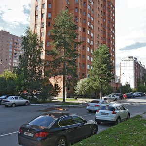 Bolshaya Komitetskaya Street, 16, Korolev: photo