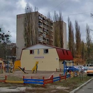 Tuluzy Street, 10А, Kyiv: photo