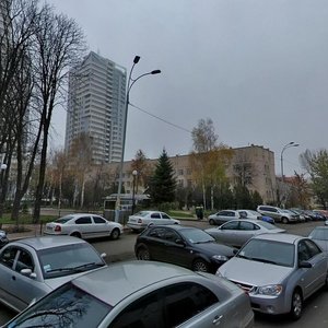 Vadyma Hetmana Street, 3, Kyiv: photo