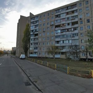 Pryrichna Street, 19, Kyiv: photo