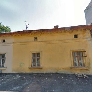 Lychakivska vulytsia, 134, Lviv: photo