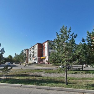 Pionerskaya Street, 90, Birobidgan: photo