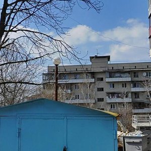 Saperne Pole Street, 45, Kyiv: photo