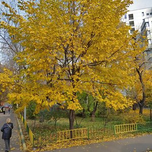 Shumkina Street, 9, Moscow: photo