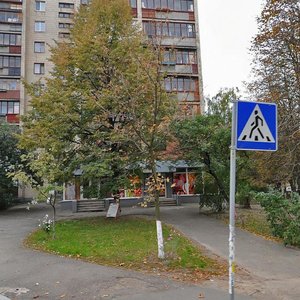 Preobrazhenska Street, 22, Kyiv: photo