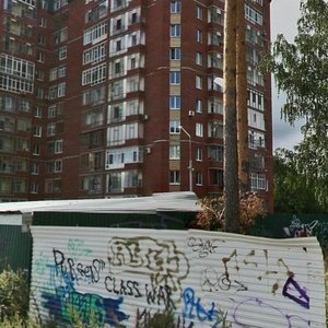 Kirovogradskaya ulitsa, 52, Perm: photo