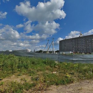 Shkolny pereulok, 5к1, Koltushi: photo