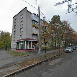 Kostiantyna Zaslonova Street, 20, Kyiv: photo