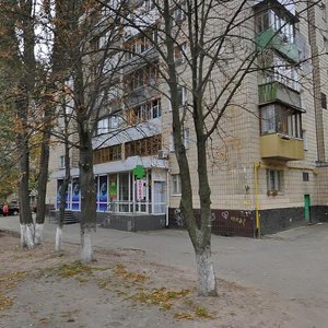 Preobrazhenska Street, 14, Kyiv: photo