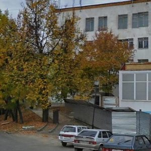 Bolshaya Moskovskaya Street, 61 ، : صورة
