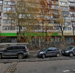 Observatorna Street, 12А, Kyiv: photo