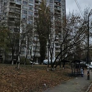 Mykoly Ushakova Street, 2, Kyiv: photo