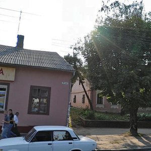 Holovna vulytsia, 116, Chernivtsi: photo