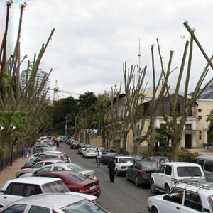 Voykova Street, 14, Sochi: photo