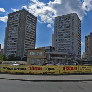 Revutskoho Street, 42В, Kyiv: photo