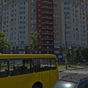 Киев, Улица Академика Вильямса, 3/7: фото