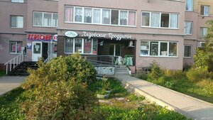 Sotsialisticheskaya ulitsa, 24А, Perm: photo
