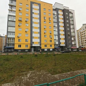 Rodionova Street, 195к2, : foto