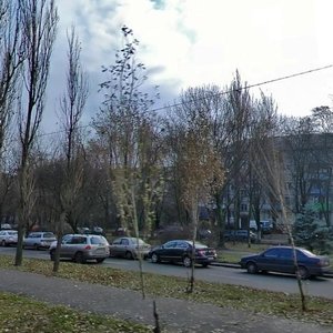 Vatslava Havela Boulevard, 13, Kyiv: photo