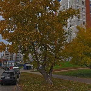 Karla Libknekhta Street, 6, Izhevsk: photo