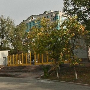 Kanysh Satbayev Street, 24, Almaty: photo