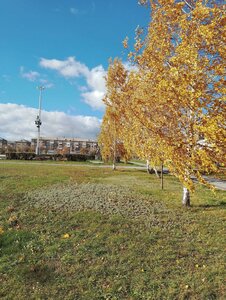 Lenina Avenue, 72, : foto
