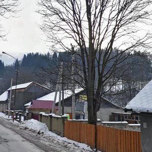 Vulytsia Hrushevskoho, 12, Zakarpattia District: photo