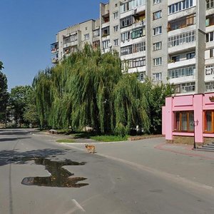 Dzherelna vulytsia, 42 ، لفيف: صورة
