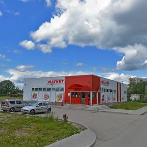 Nekhinskaya Street, 40, Veliky Novgorod: photo