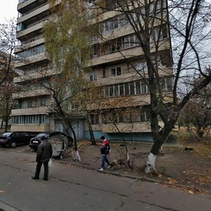 Valeriia Lobanovskoho Avenue, 27, Kyiv: photo